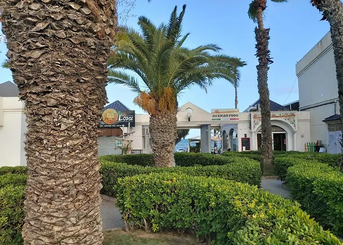 公寓 Amalia 5 托雷维耶哈