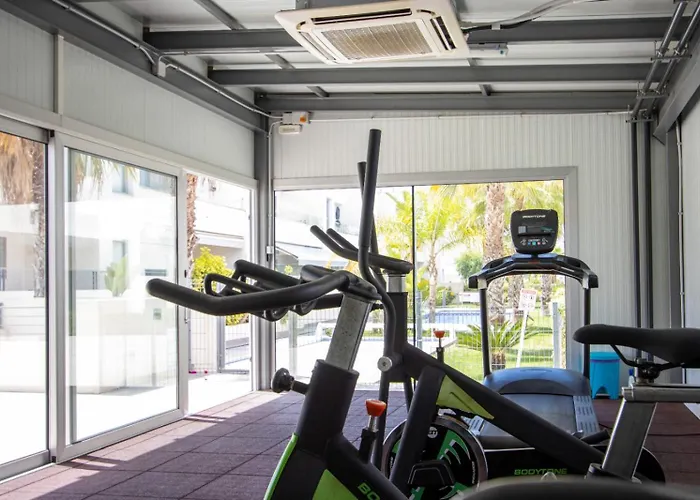 公寓 Amalia 5 托雷维耶哈