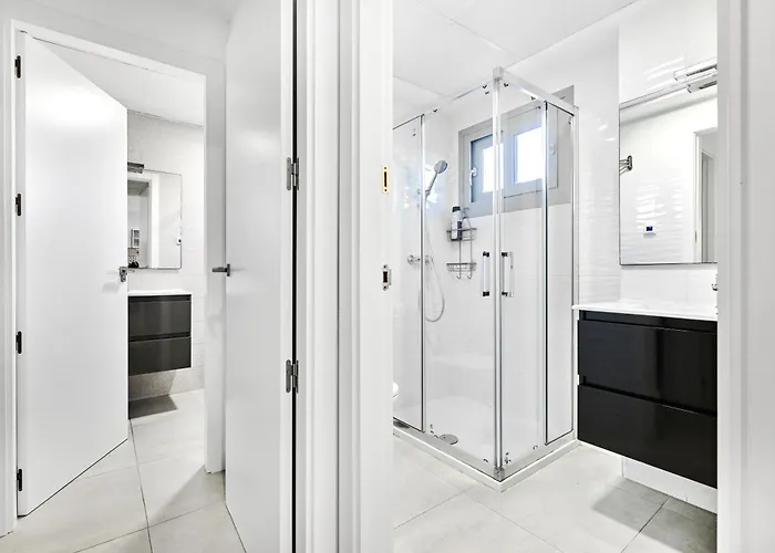 公寓 Amalia 5 托雷维耶哈